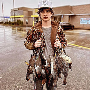 Meet your Posher, Gavin